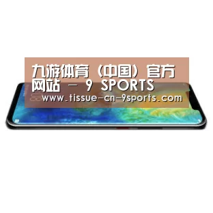 华为无线快充手机