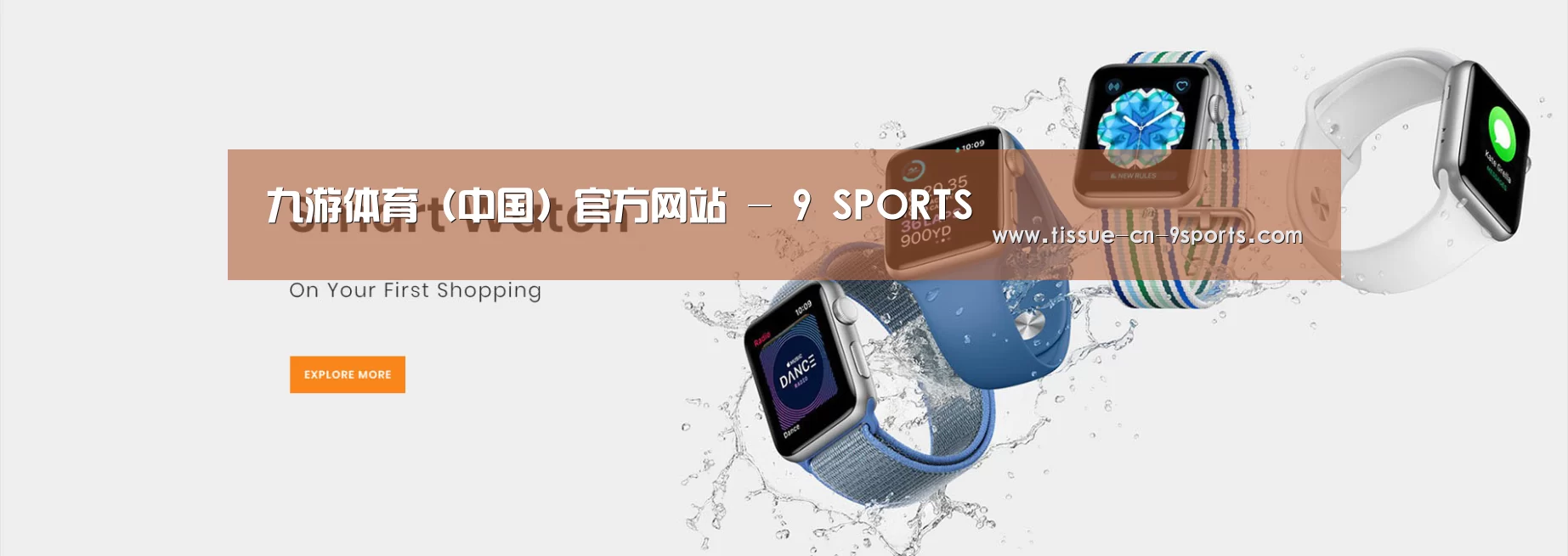 某某网络科技有限公司