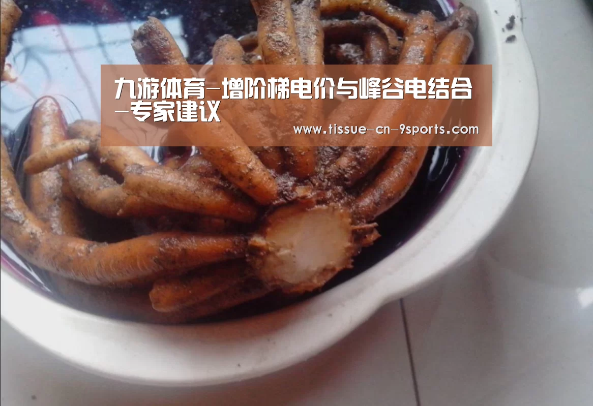 九游体育-增阶梯电价与峰谷电结合-专家建议(图1) 九游体育
