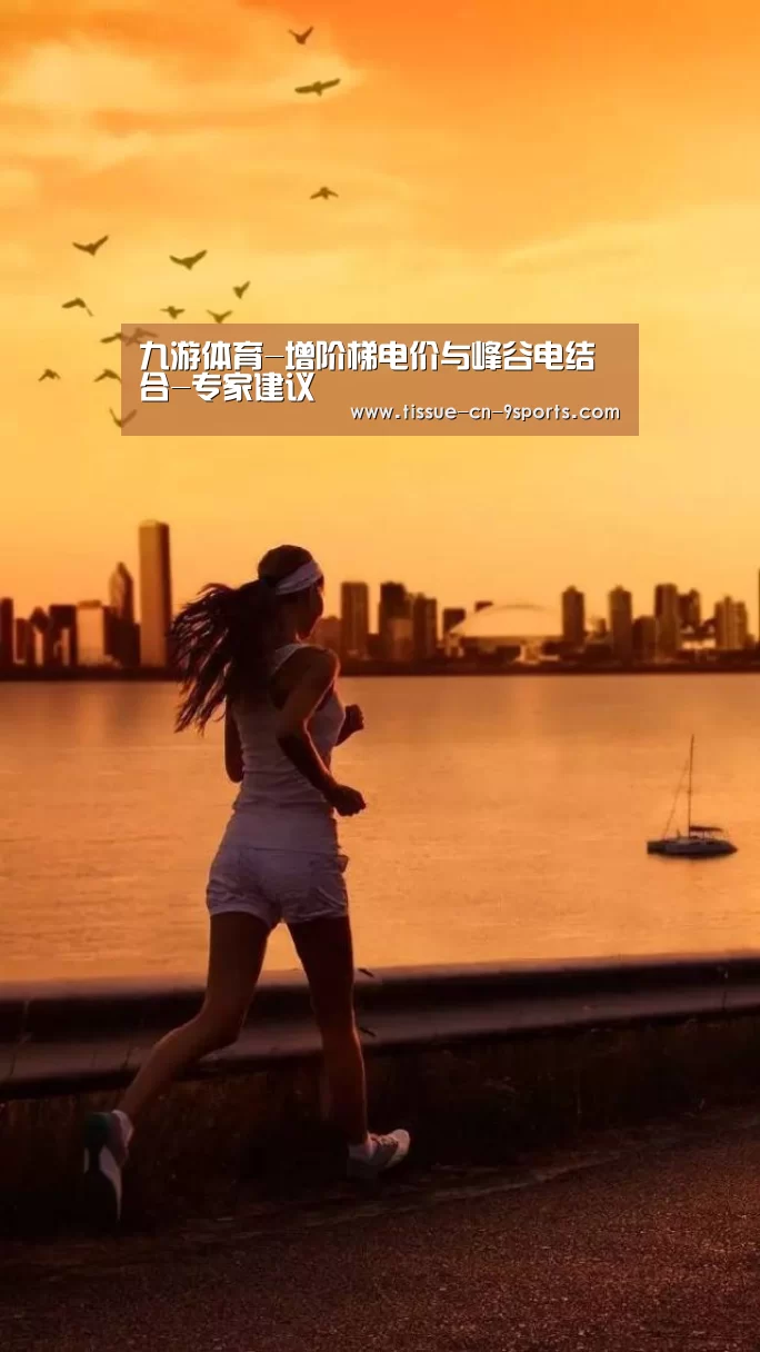 九游体育-增阶梯电价与峰谷电结合-专家建议(图3) 九游体育