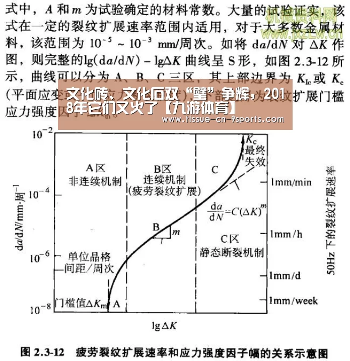 九游体育