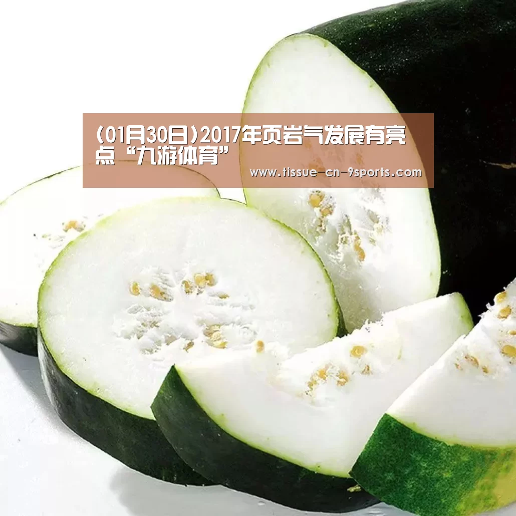 (01月30日)2017年页岩气发展有亮点“九游体育”(图2) 九游体育