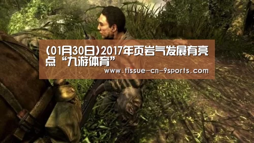 (01月30日)2017年页岩气发展有亮点“九游体育”(图3) 九游体育