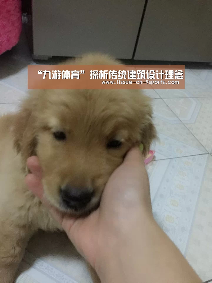 “九游体育”探析传统建筑设计理念(图1) 九游体育