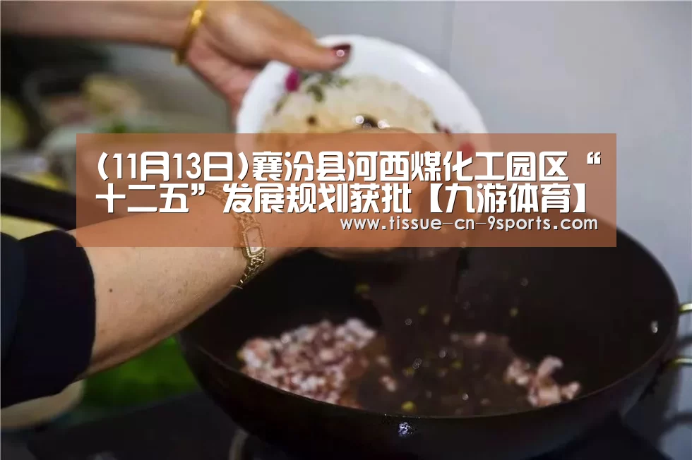 (11月13日)襄汾县河西煤化工园区“十二五”发展规划获批【九游体育】(图3) 九游体育