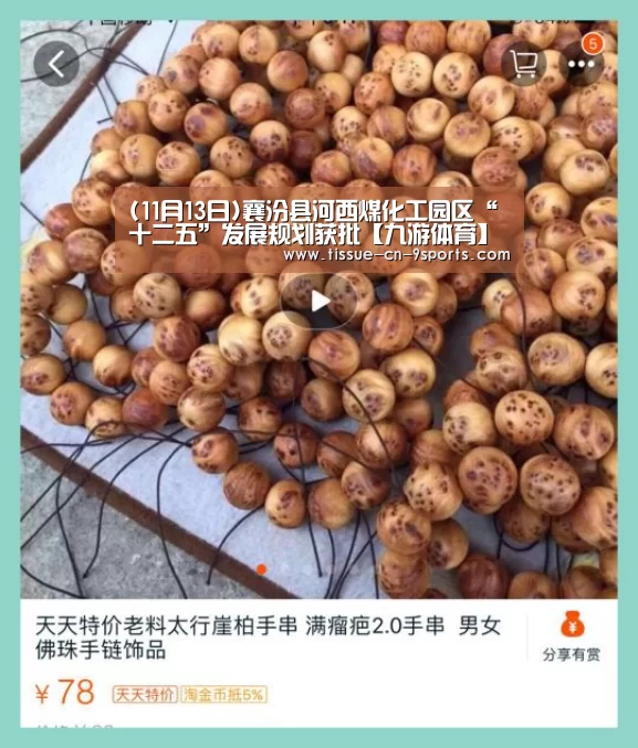(11月13日)襄汾县河西煤化工园区“十二五”发展规划获批【九游体育】(图2) 九游体育