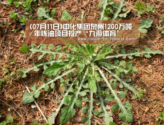 (07月11日)中化集团泉州1200万吨/年炼油项目投产‘九游体育’(图1) 九游体育